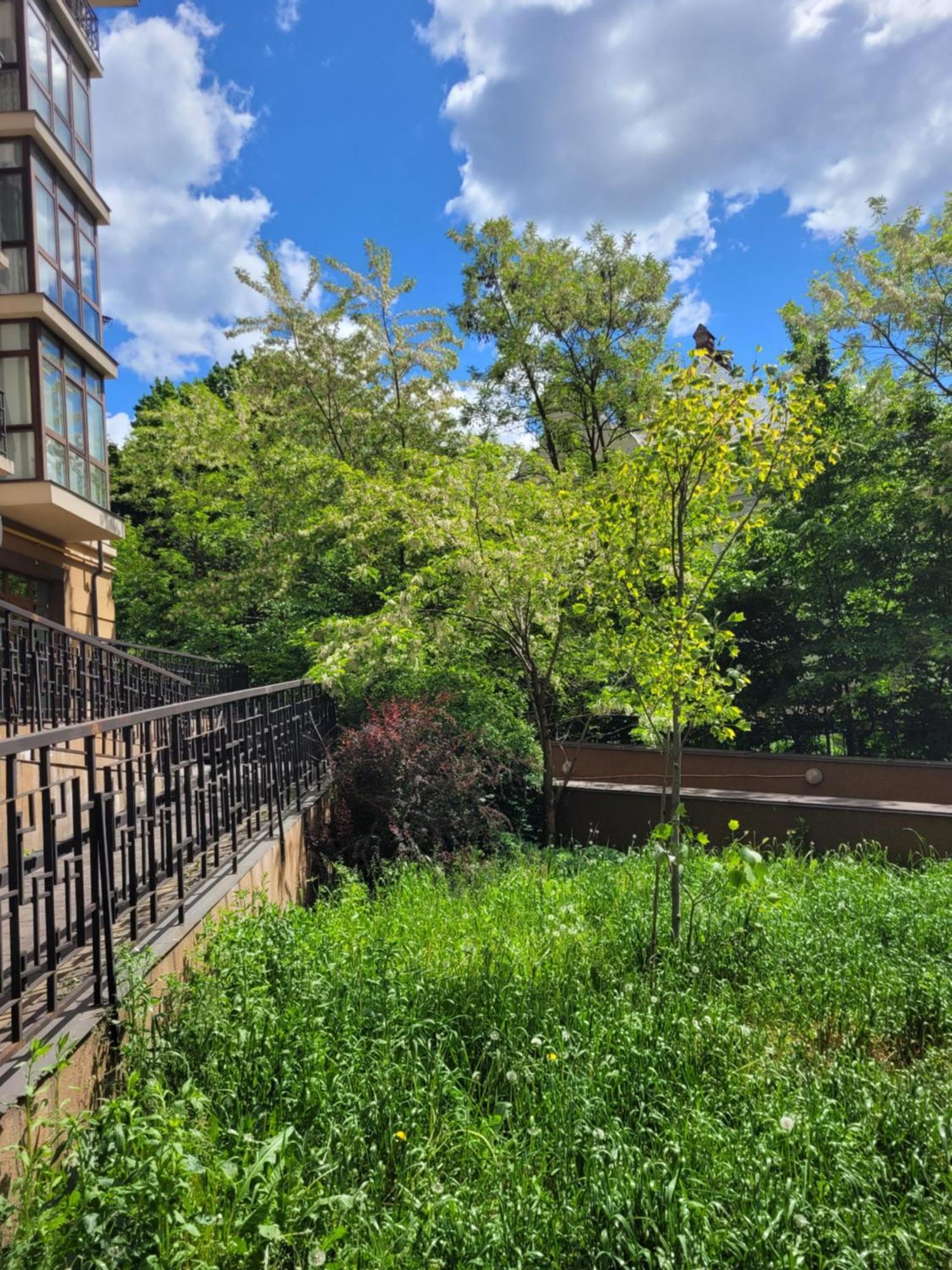 Центр, Біля Медичного Університету, Вулиця Личаківська Lviv Exteriör bild